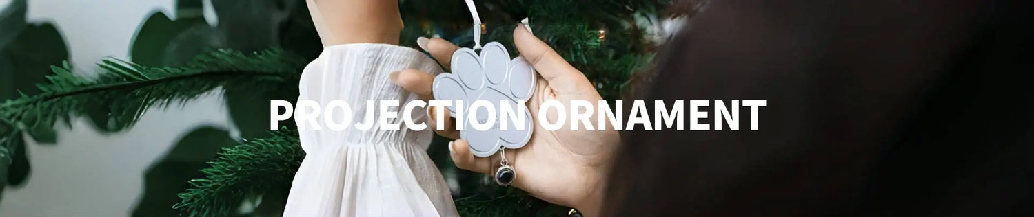 Projection Ornament